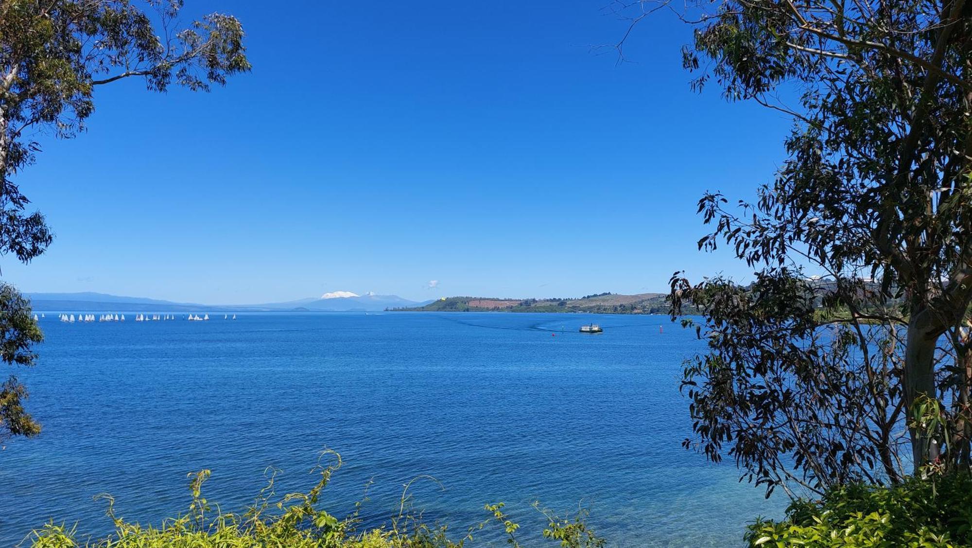 Bed And Breakfast Happy Home Taupo Accommodation Exterior photo